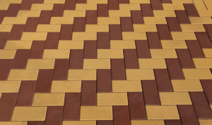 Holland Petra Térburkoló