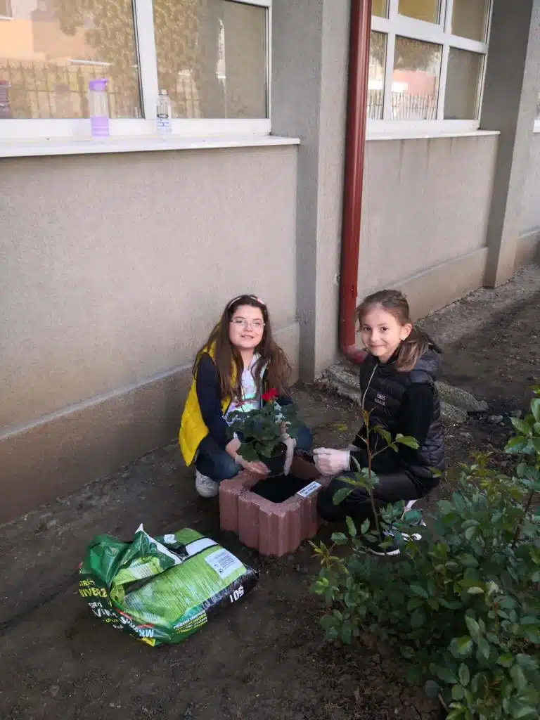 Plantare flori in Jardinere – Verde la Scoala mea_proiect sustinut de Petra pavaje Plantarea florilor in jardiniere