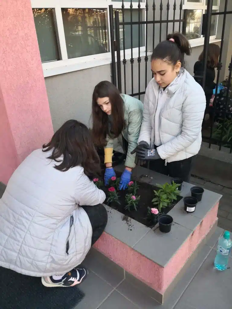 Plantare flori in Jardiniere