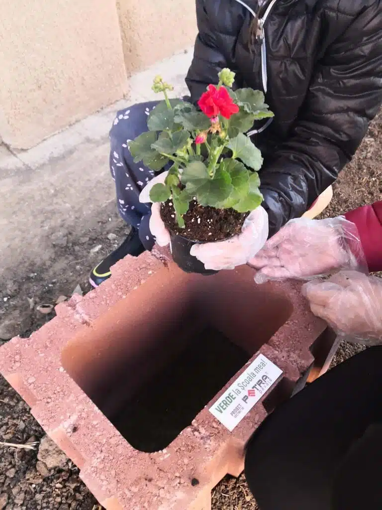 Verde la Scoala mea – Proiect sustinut de Petra pavaje jardiniera Verde la Scoala mea