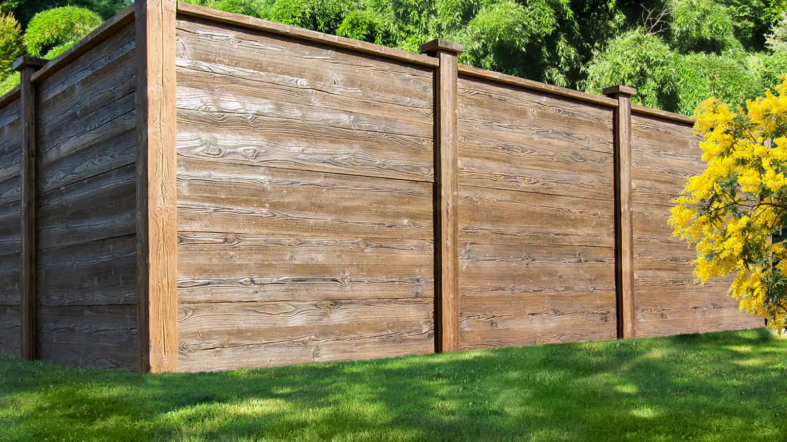 gard-web gard woodstone lemn pietrificat