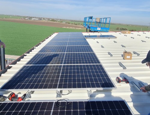 Florea Grup a început instalarea celor 10.000 mp de panouri fotovoltaice pe fabricile Petra Pavaje