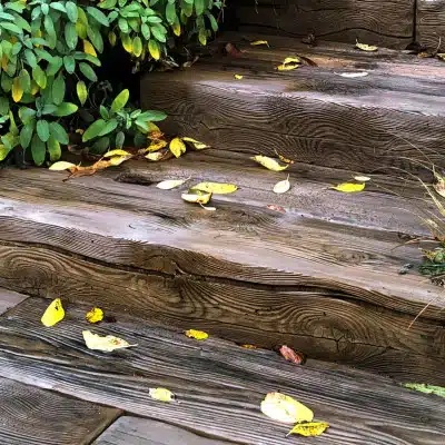 scari woodstone lemn pietrificat