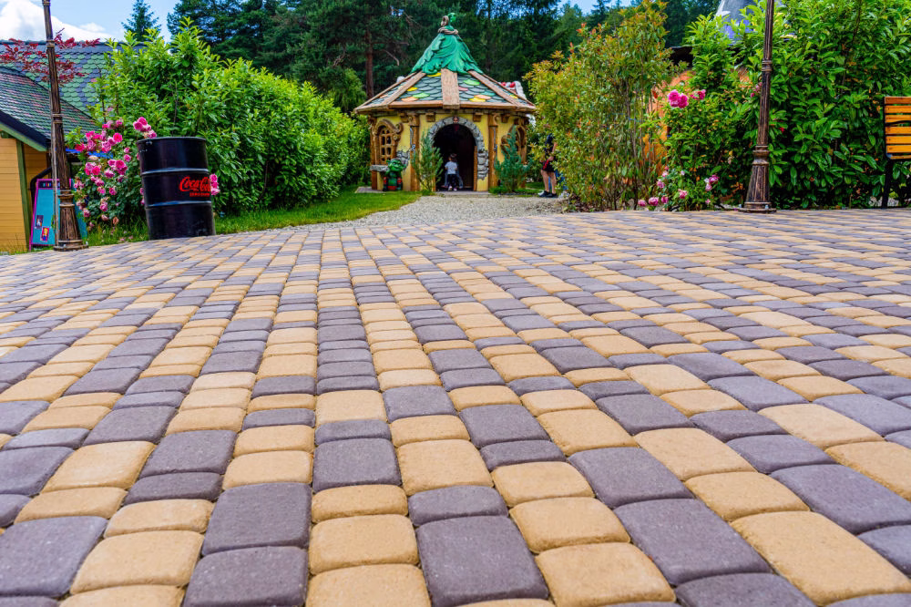 Gemina maro si galben